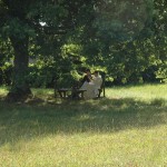 Un frère parle avec un hôte à l'ombre d'un chêne.