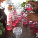 liquide rose dans des verres
