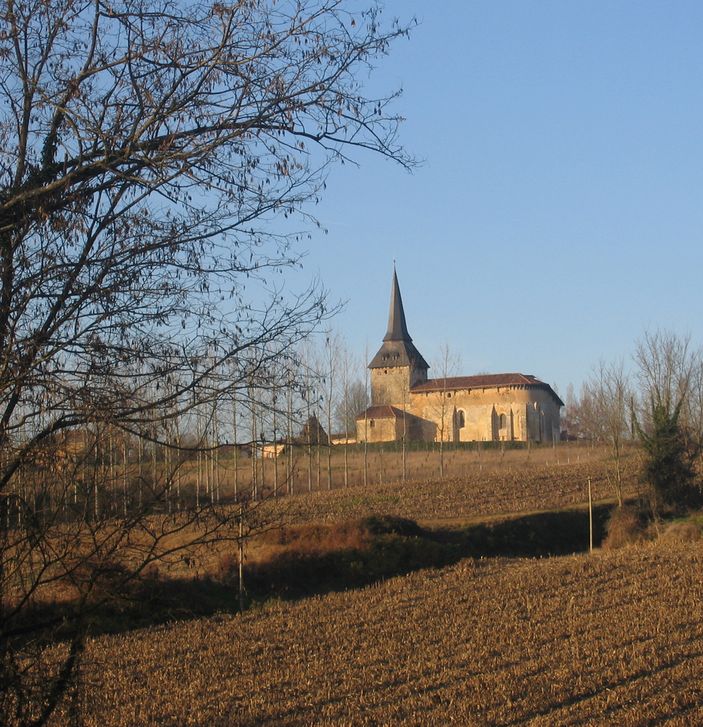 Une petite église au milieu des mais coupés. Son fin clocher d'ardoise semble percer le ciel bleu d'hiver.