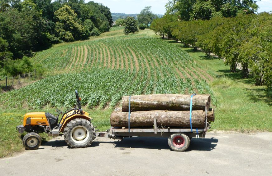 tracteur avec un chargement de billes de bois