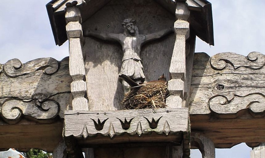oiseau dans son nid à l'ombre du Christ pour le 17e dimanche ordinaire C