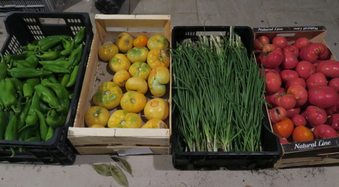 Légumes du jardin